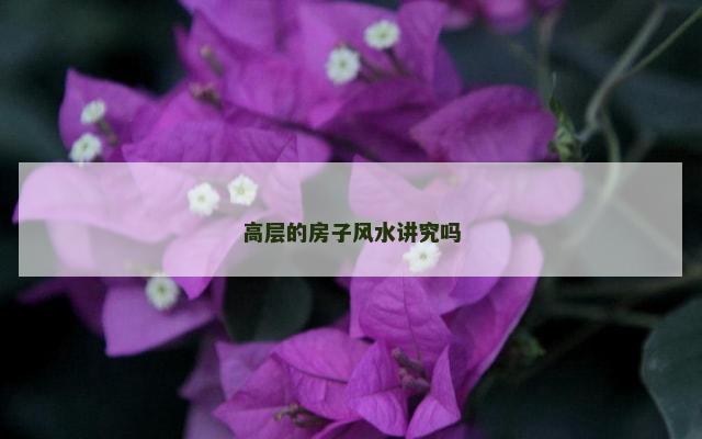 高层的房子风水讲究吗