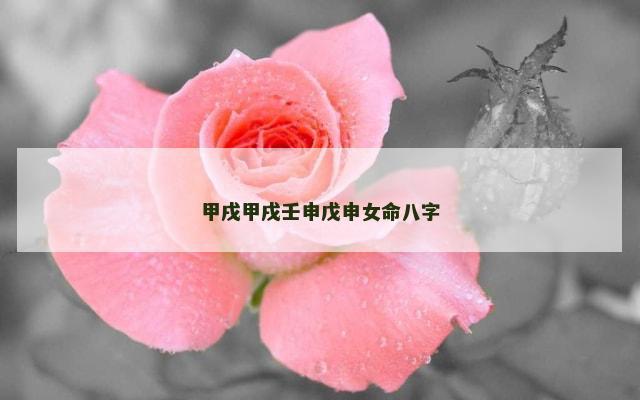 甲戌甲戌壬申戊申女命八字