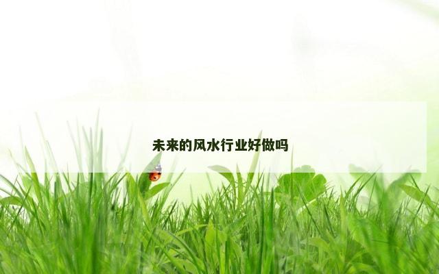 未来的风水行业好做吗