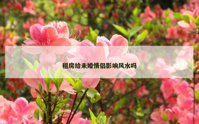 租房给未婚情侣影响风水吗