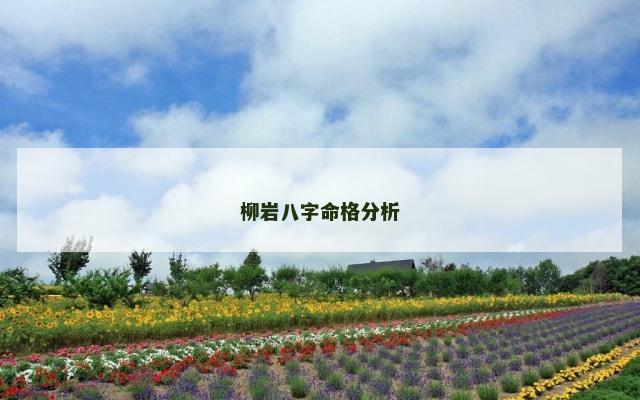 柳岩八字命格分析