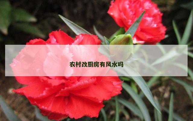 农村改厨房有风水吗