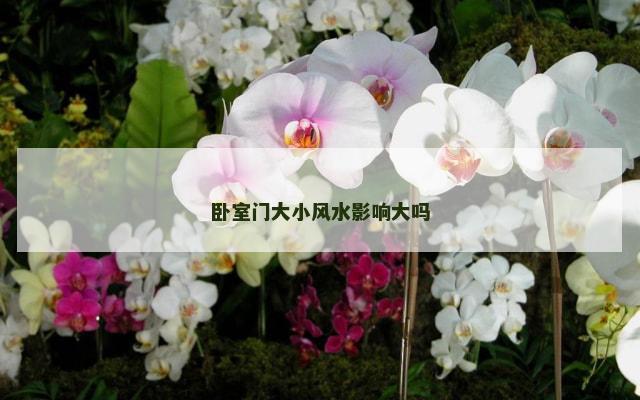 卧室门大小风水影响大吗