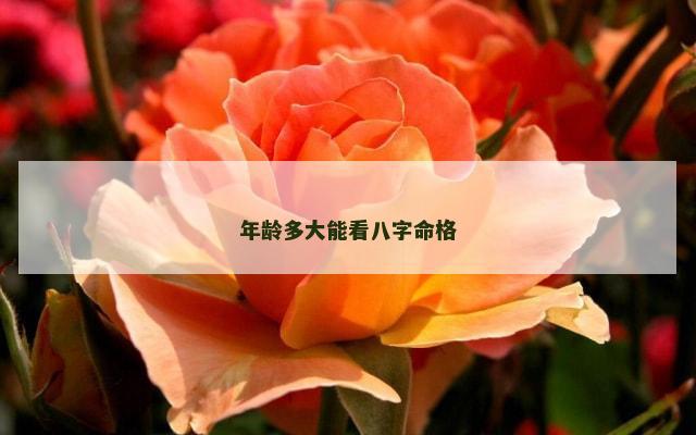 年龄多大能看八字命格
