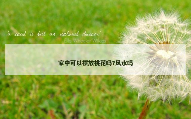 家中可以摆放桃花吗?风水吗