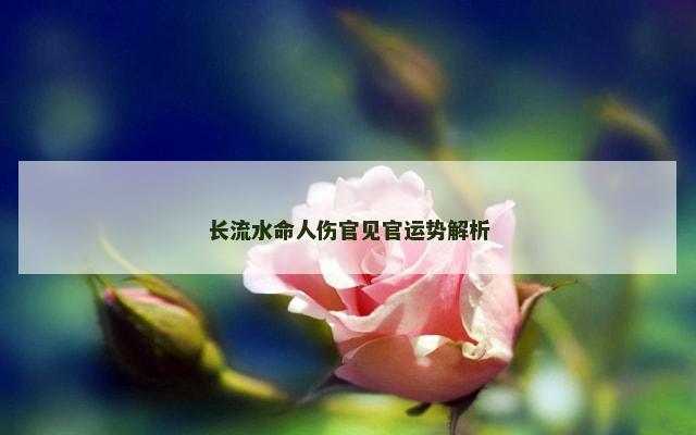 长流水命人伤官见官运势解析