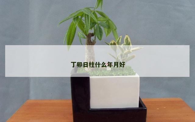 丁卯日柱什么年月好