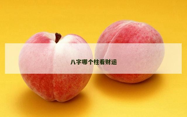 八字哪个柱看财运