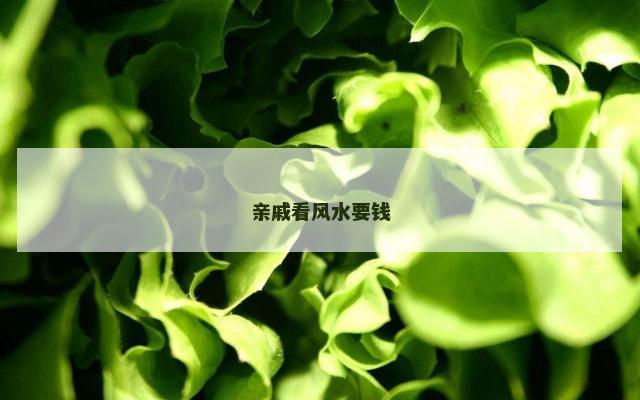 亲戚看风水要钱