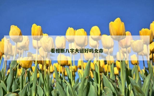 看相断八字大运好吗女命