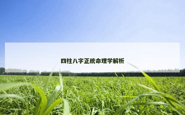 四柱八字正统命理学解析