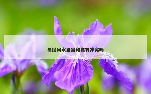 易经风水里富和鑫有冲突吗
