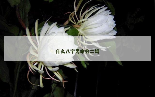 什么八字男命会二婚