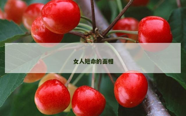 女人短命的面相