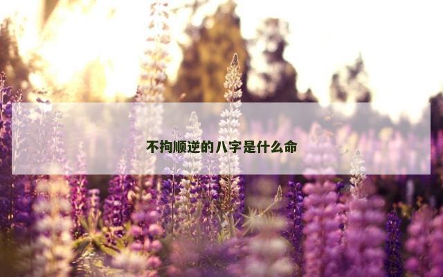 不拘顺逆的八字是什么命