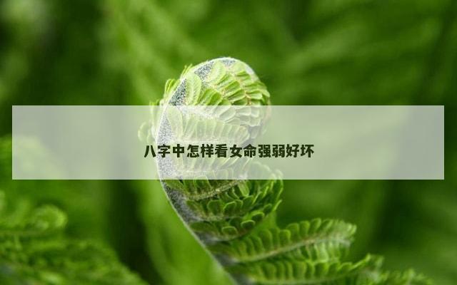 八字中怎样看女命强弱好坏