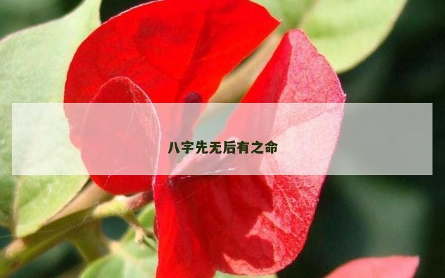 八字先无后有之命