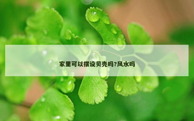 家里可以摆设贝壳吗?风水吗