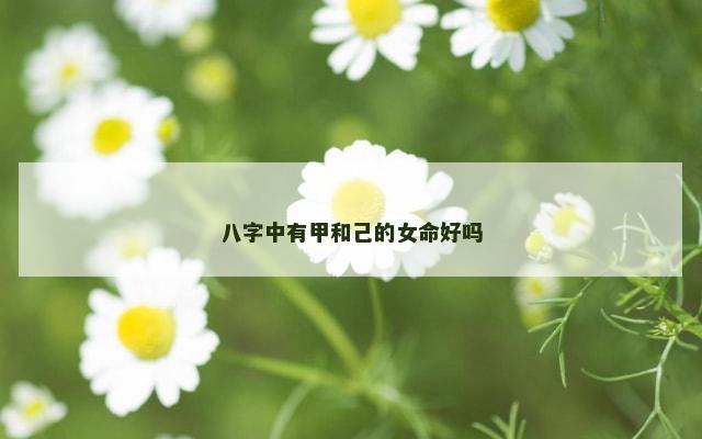 八字中有甲和己的女命好吗