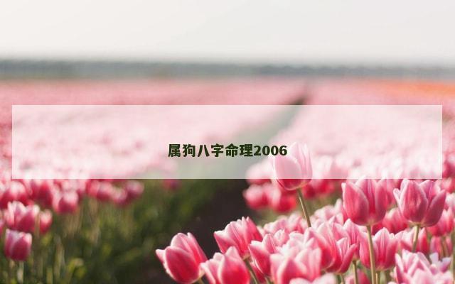 属狗八字命理2006