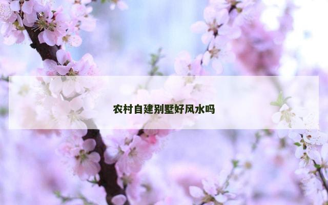 农村自建别墅好风水吗