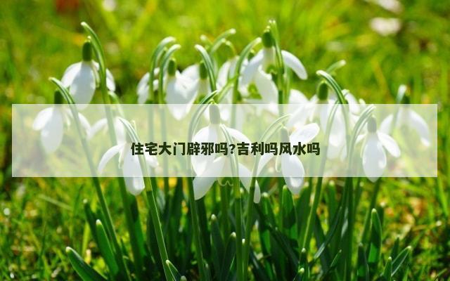 住宅大门辟邪吗?吉利吗风水吗