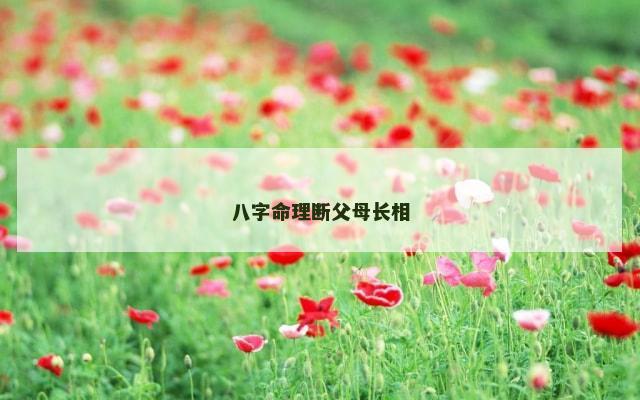八字命理断父母长相