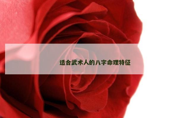 适合武术人的八字命理特征