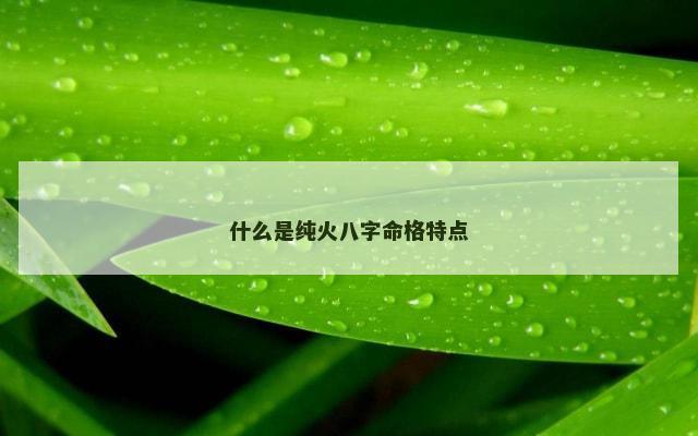 什么是纯火八字命格特点