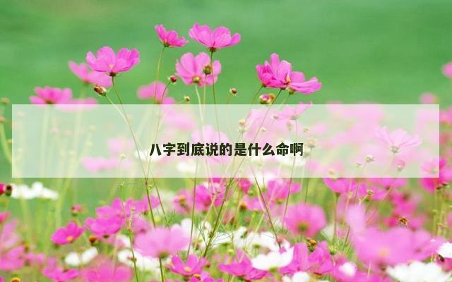 八字到底说的是什么命啊