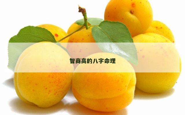智商高的八字命理