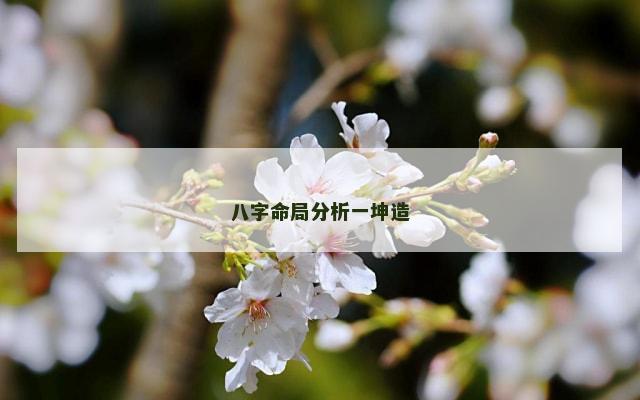 八字命局分析一坤造