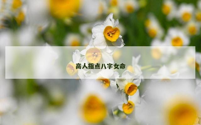 高人指点八字女命