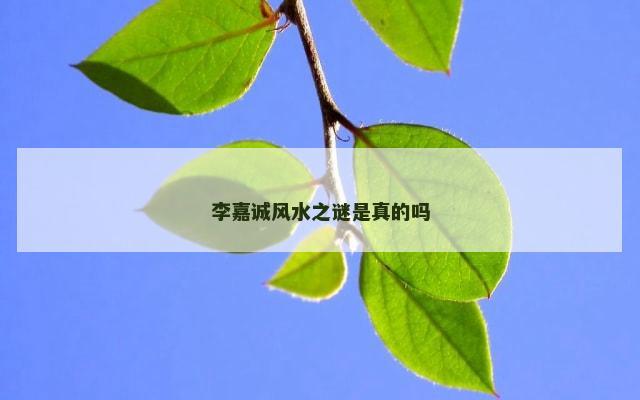李嘉诚风水之谜是真的吗