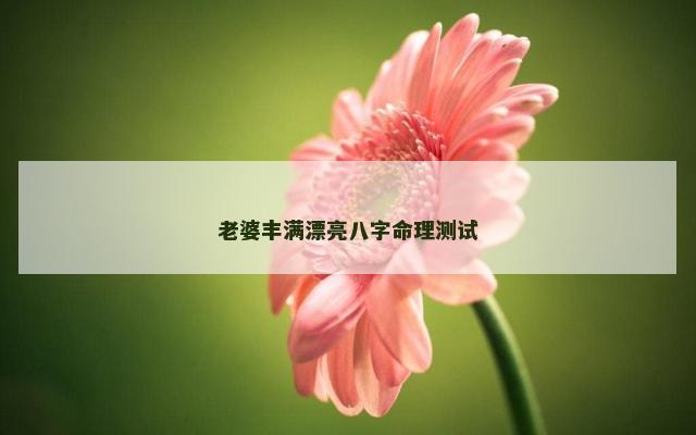 老婆丰满漂亮八字命理测试