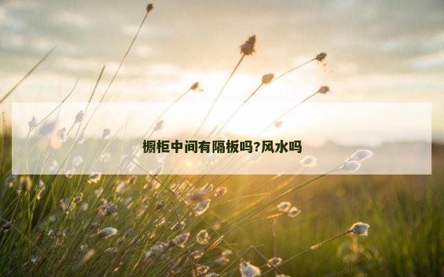 橱柜中间有隔板吗?风水吗