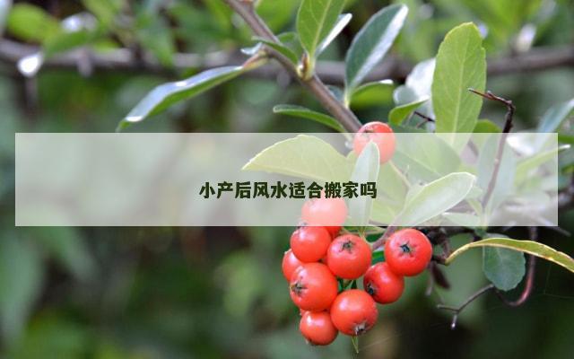 小产后风水适合搬家吗