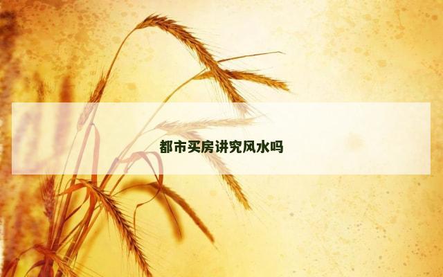 都市买房讲究风水吗
