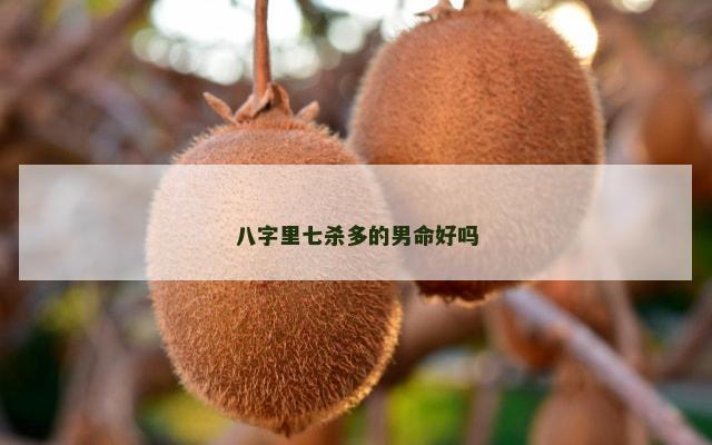 八字里七杀多的男命好吗