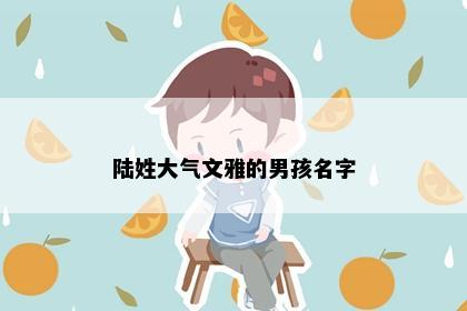 陆姓大气文雅的男孩名字