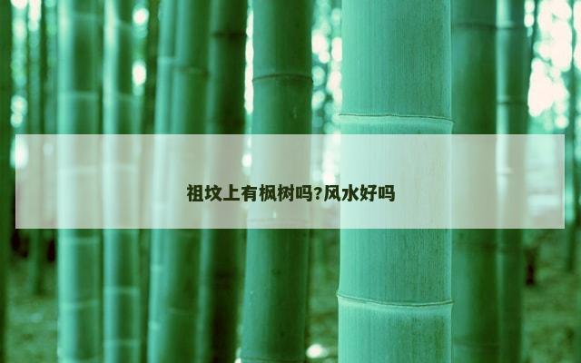 祖坟上有枫树吗?风水好吗