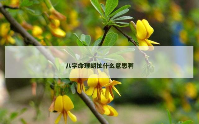 八字命理胡扯什么意思啊