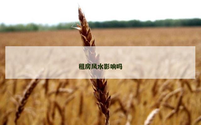 租房风水影响吗