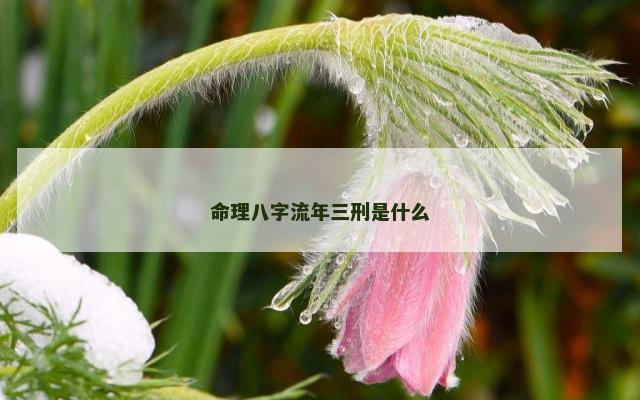 命理八字流年三刑是什么