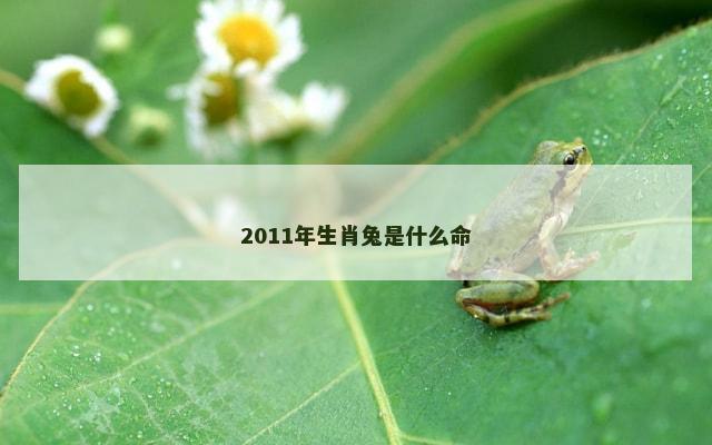 2011年生肖兔是什么命