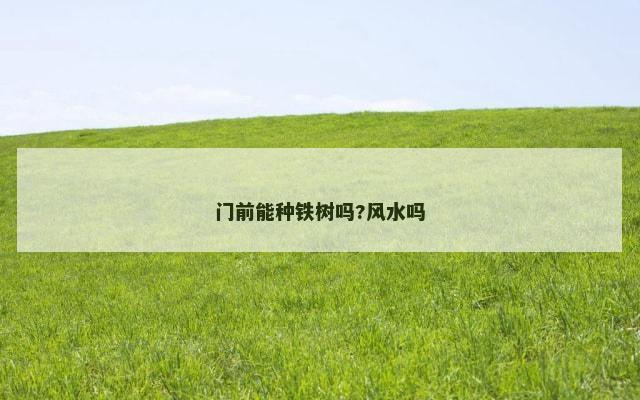 门前能种铁树吗?风水吗