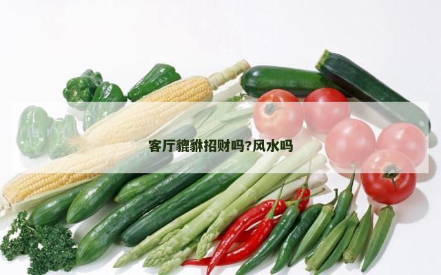 客厅貔貅招财吗?风水吗