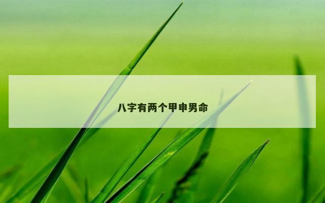 八字有两个甲申男命