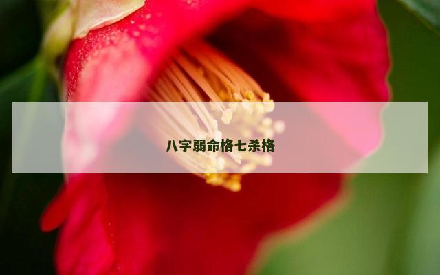 八字弱命格七杀格