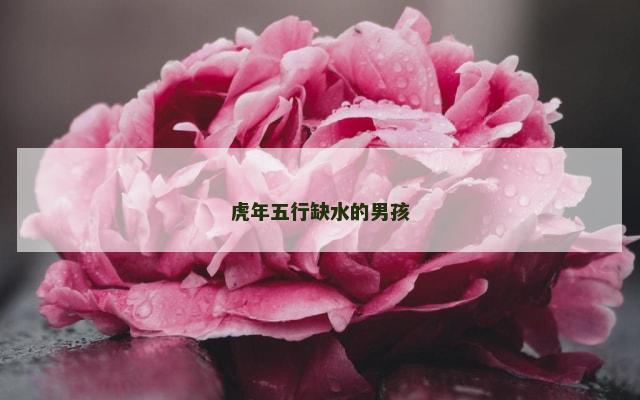 虎年五行缺水的男孩